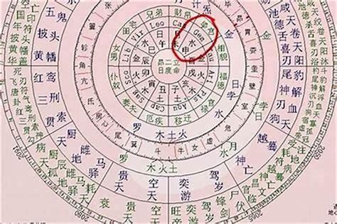 八字命主意思|紫微斗數講堂——什么是“命主”